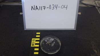 Media type: image;   Invertebrate Zoology 153512 Description: live specimen;